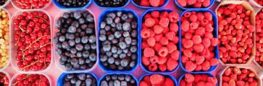 assortment of fruit