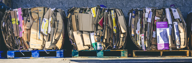 sorted and packaged cardboard