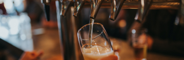 Person filling beer glass