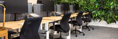 black office rolling chairs at desk with green wall