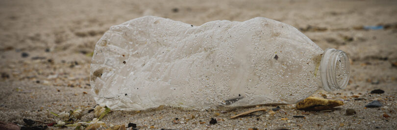 Water bottle on beach