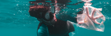 Diver swimming underwater collecting clear plastic