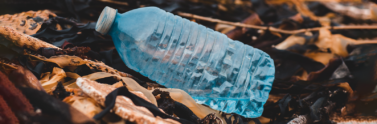 plastic bottle