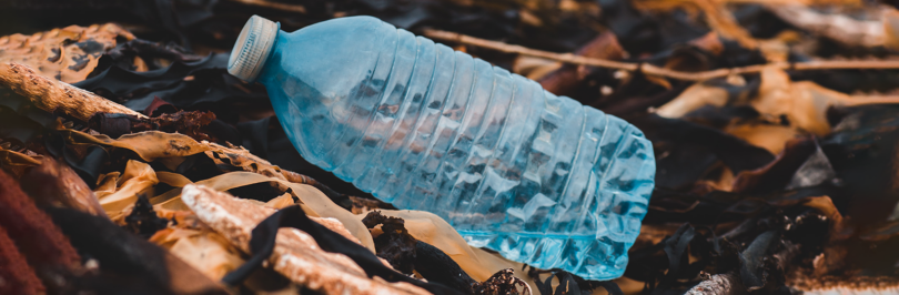 plastic bottle