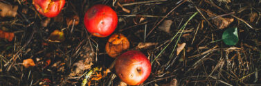 food waste