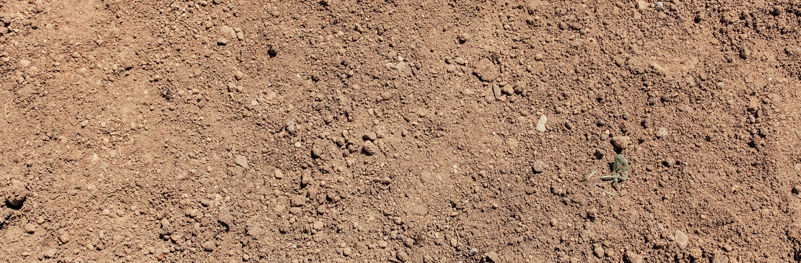 soil