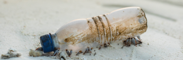 discarded plastic bottle on beach