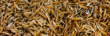 rice hulls