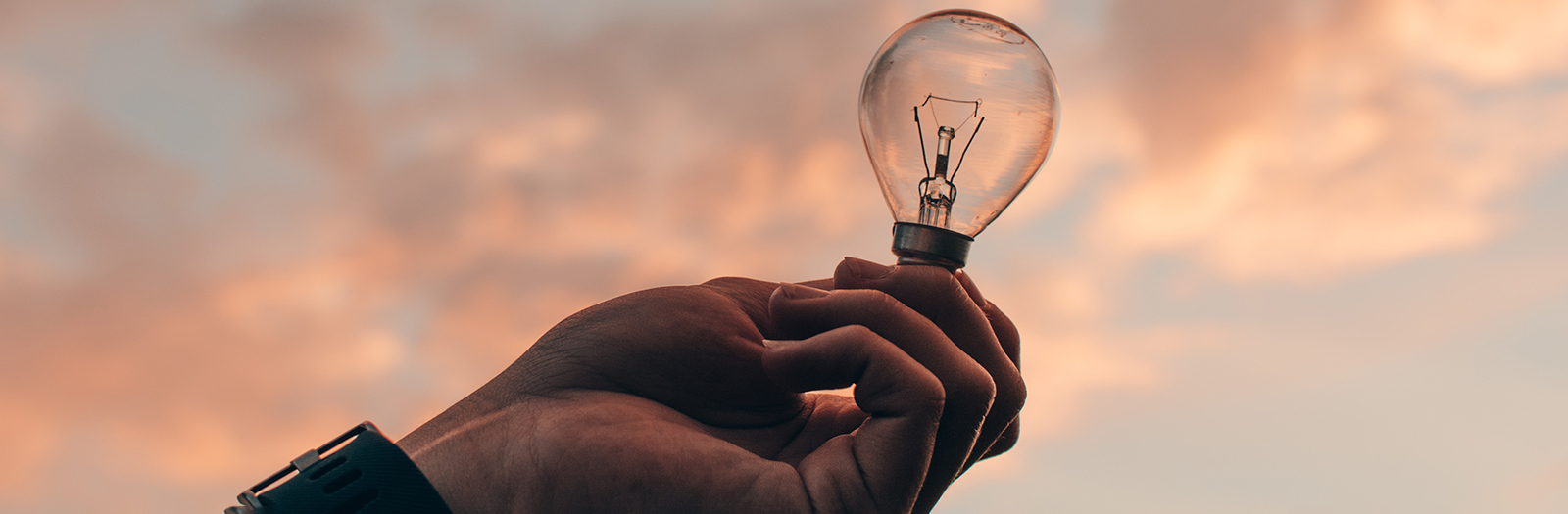 lightbulb