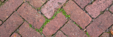 brick path