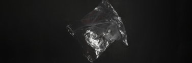 plastic bag