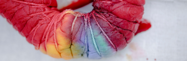 Multicolored dyed fabric tied with ropes