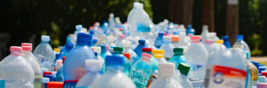 assorted plastic bottles