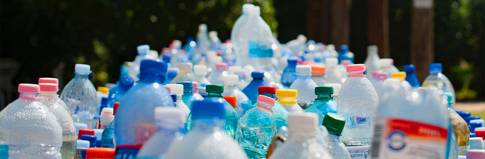 assorted plastic bottles
