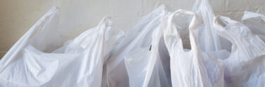 plastic shopping bags