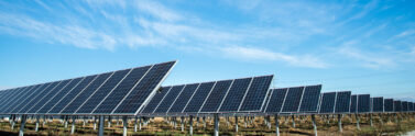 solar panel farm
