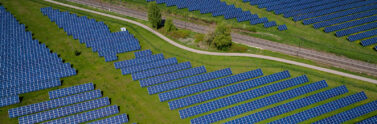 solar panels in a field
