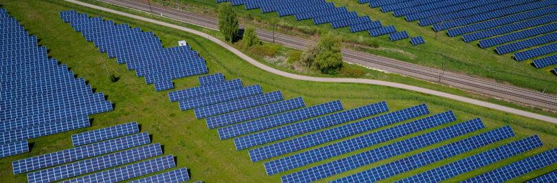 solar panels in a field