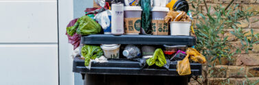 overflowing garbage can