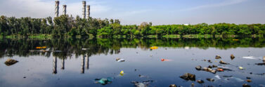 waste floating in water
